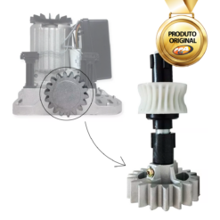 Conjunto De Eixo Principal Para Motor DZ RIO PPA